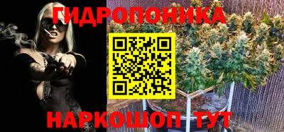 твердый Тверь