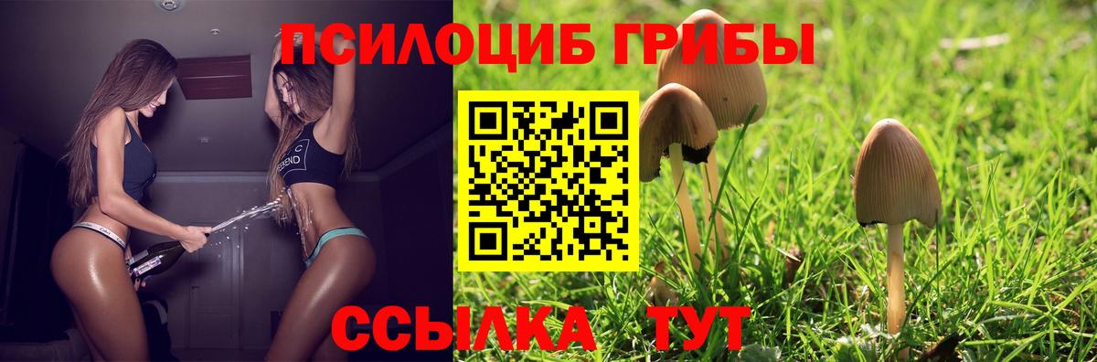 Псилоцибиновые грибы GOLDEN TEACHER Белая Калитва